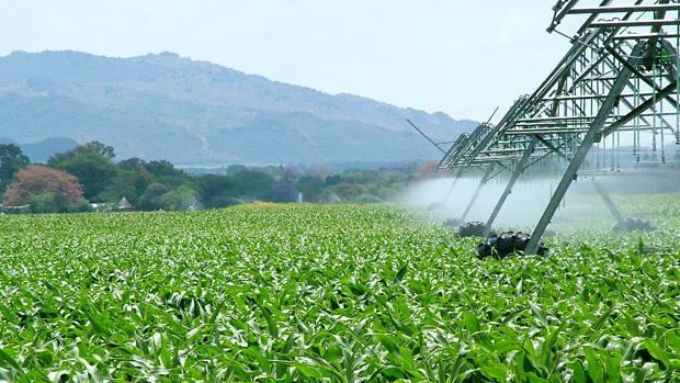 La agricultura de Andalucía, salvavidas de todas las crisis, necesita inversión