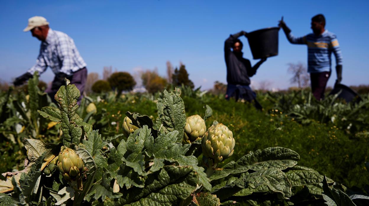 Asaja, calcula que los fondos destinados a la agricultura pasarán de 383.000 millones de euros para el periodo 2014-2020 a 343.900 millones.