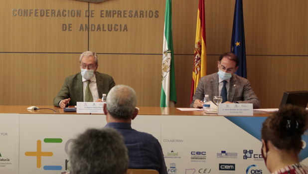 El 61% de las empresas andaluzas se ha acogido a ayudas públicas por el coronavirus