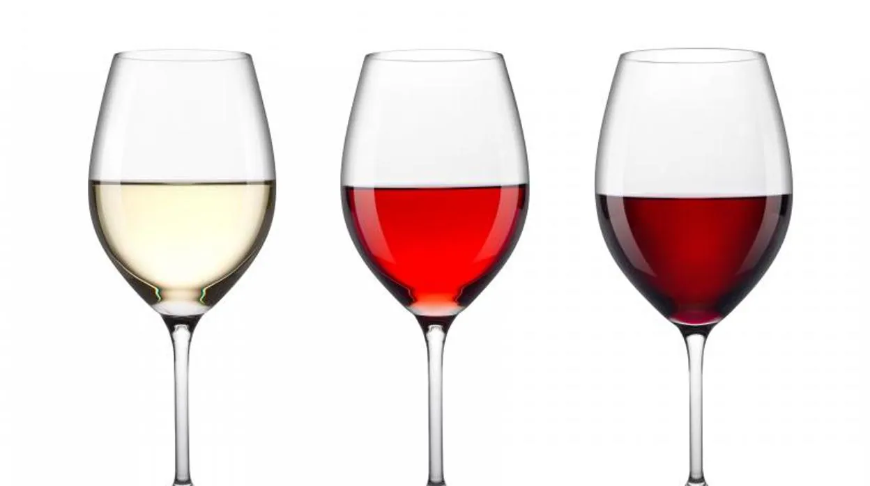 El Ministerio de Agricultura premia los dos mejores vinos españoles de 2020