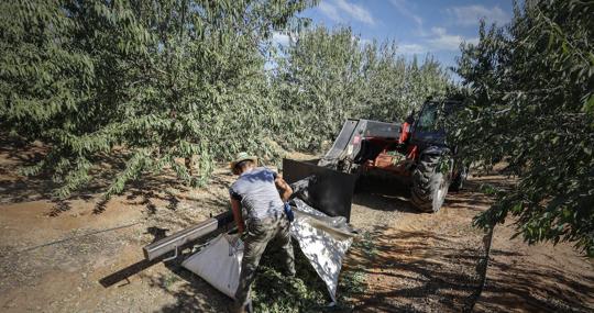 Andalucía es un tercio de la producción nacional