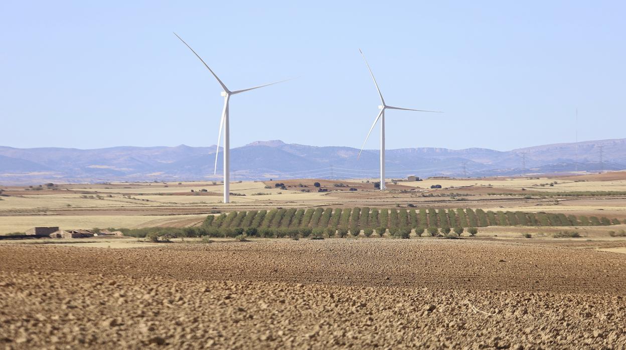 Forestalia ha promovido cerca de 2.000 MW de tecnología solar, eólica y de generación mediante biomasa