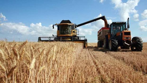 Los agricultores y ganaderos andaluces recibirán el 70% del anticipo de la PAC el 16 de octubre