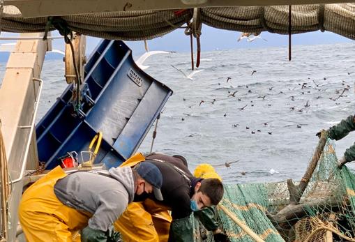 El sector pesquero pide que los productos del mar tengan un 4% de IVA para aliviar el impacto del Covid