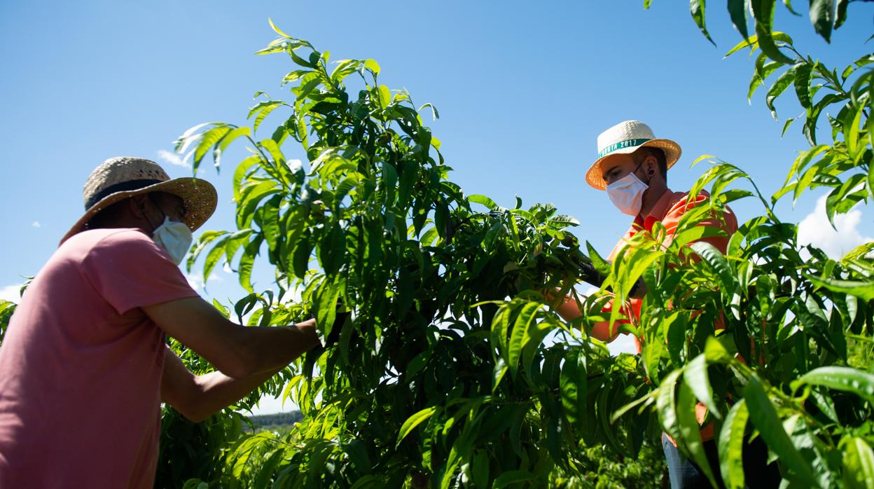 Fría acogida entre agricultores y oposición al acuerdo alcanzado en Luxemburgo sobre la nueva PAC