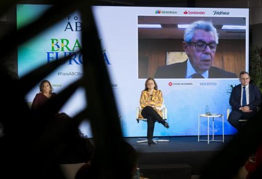 El viceministro brasileño de Economía y Comercio Exterior, Roberto Fendt, en la pantalla, durante una de sus intervenciones