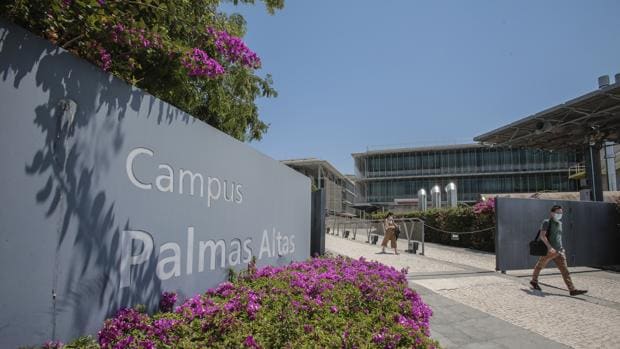 La empresa dueña de Palmas Altas, sede de Abengoa, está en quiebra desde 2017
