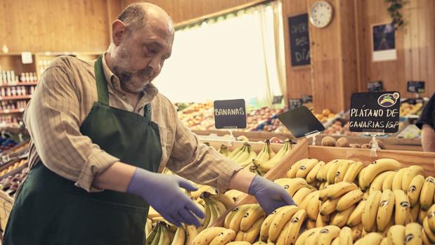 El Plátano de Canarias se abre al delivery y se alía con Glovo para acercar las fruterías de barrio