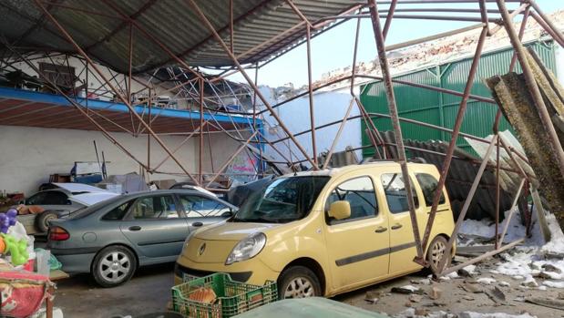 Filomena y su rastro: la tormenta perfecta para hortalizas, olivos y cítricos