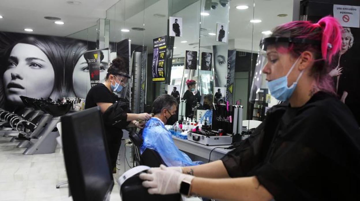 Los atónomos perdieron 20.000 euros de media el año pasado, según ATA