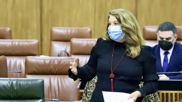 La Junta también pide a Planas que escuche al campo andaluz y «rectifique»