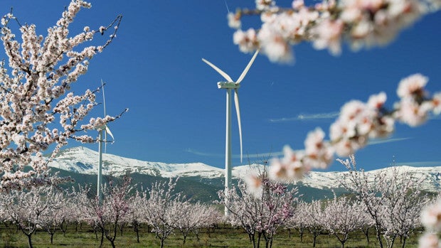 Iberdrola pondrá entre Sevilla y Málaga los mayores aerogeneradores de España