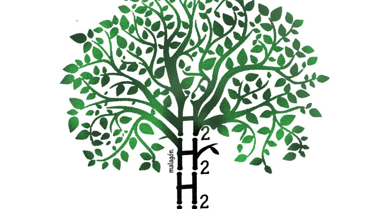 España tiene una oportunidad histórica para alzarse en líder europeo de la economía del hidrógeno verde