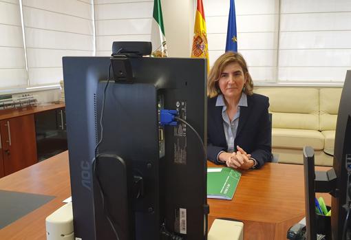 La consejera de Empleo, Rocío Blanco, ha presentado la guía para los autónomos en una comparecencia telemática