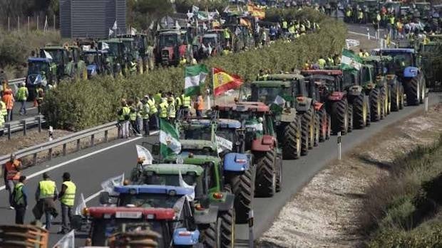 Así será la tractorada que recorrerá el centro de Sevilla este jueves contra la PAC