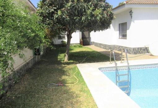 Jardín con piscina del chalet