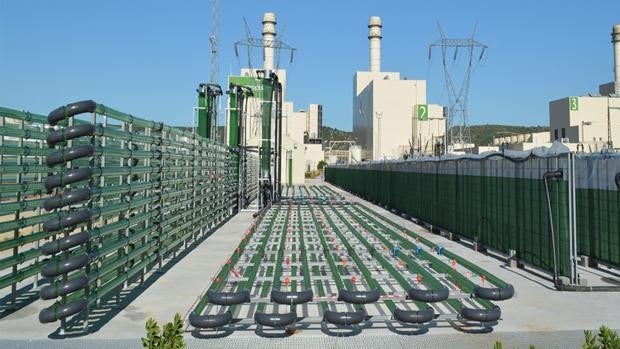 El despegue de la biotecnología española da alas a la industria