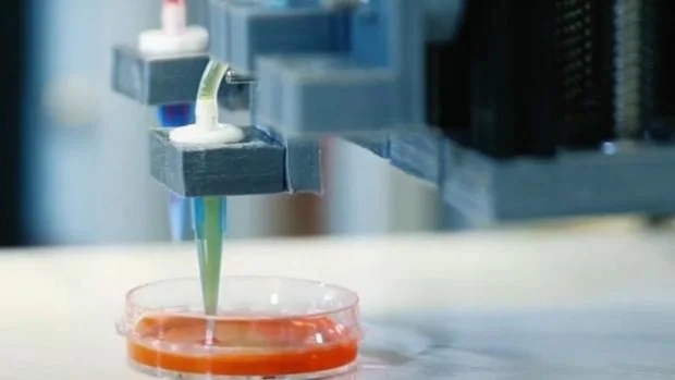 La bioimpresión comienza a construir los cimientos de la medicina personalizada