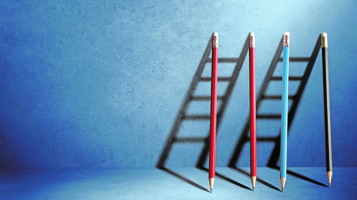 Yolanda Gómez Rojo: Sacrificio y esfuerzo, valores a extinguir para el Gobierno