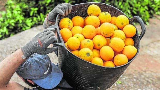 El incumplimiento de los plazos de pago, detrás de la mayoría de las sanciones en el campo español