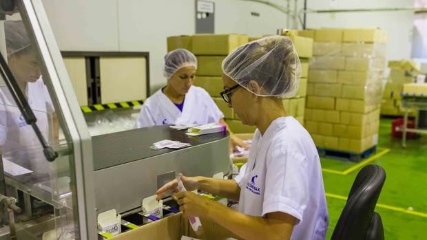 La nueva fábrica de la jerezana Cosmewax, pendiente de la convocatoria de ayudas públicas de Valencia