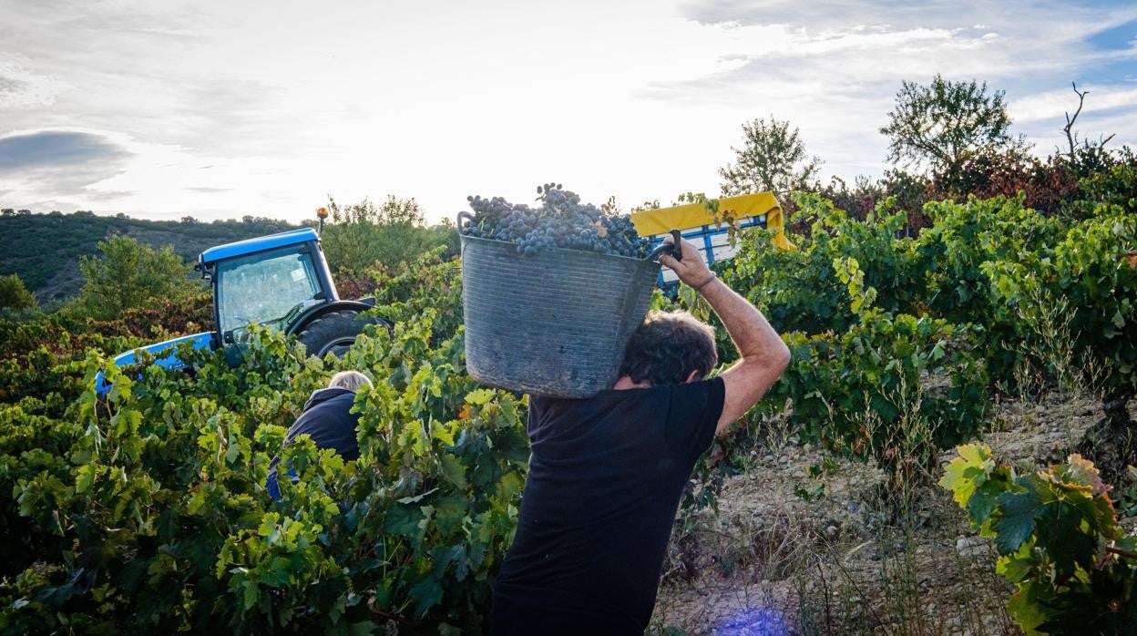 Agricultores y ganaderos españoles, de &#039;Erasmus&#039;