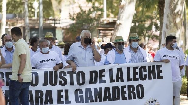 Tormenta perfecta sobre los productores de leche por la subida de costes: el sector anuncia movilizaciones