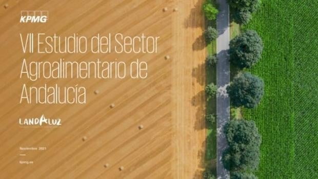 Aunque con preocupación por la subida de los costes, 7 de cada 10 empresas agroalimentarias prevén aumentar sus ventas en 2022