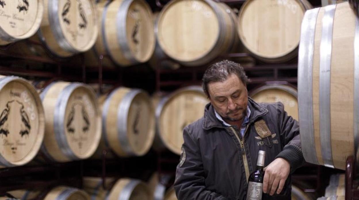 Gabriel García, gerente de Bodega Linaje Garsea: «Tendremos que vender el vino en un cristal diferente»
