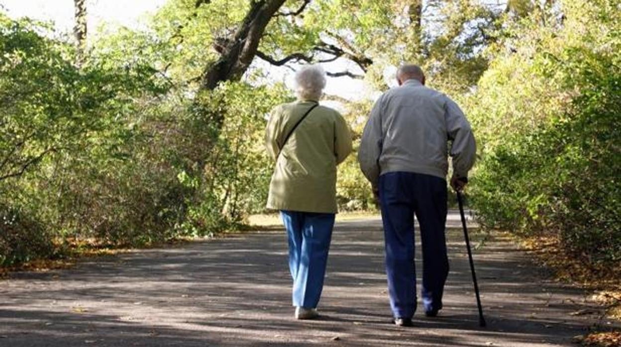 El simulador de pensiones de la Seguridad Social aclara las dudas a los futuros jubilados