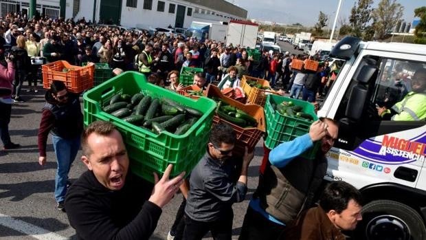 El sector hortofrutícola se concentra mañana frente al Ministerio de Agricultura