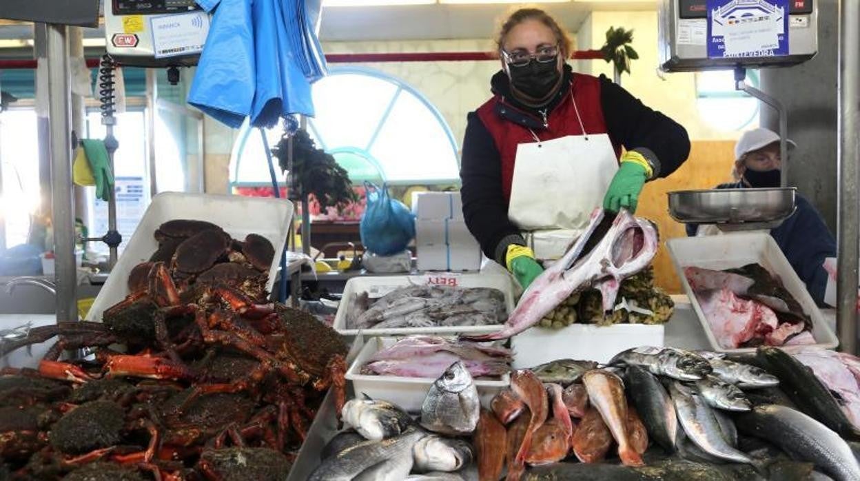 Puestos de pescados y mariscos en Pontevedra