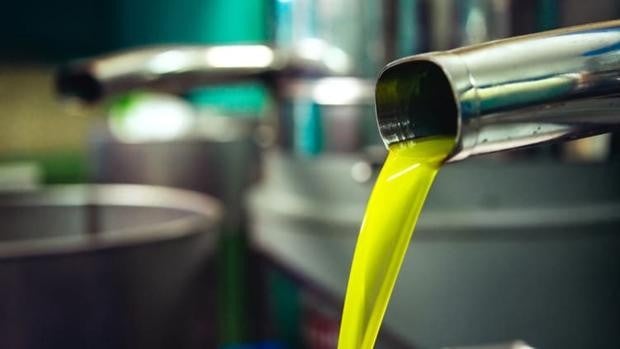 Sequía, altos precios y buenos rendimientos grasos en la campaña oleícola