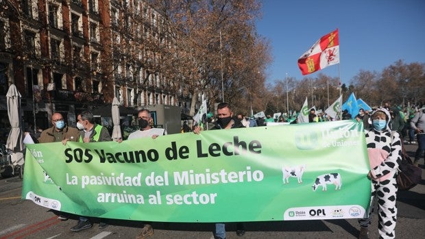 «Estamos en la ruina», el grito unánime de cientos de productores de leche contra los bajos precios en origen