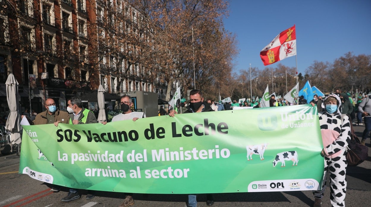 «Estamos en la ruina», el grito unánime de cientos de productores de leche contra los bajos precios en origen