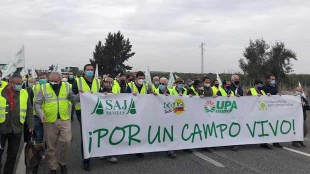 El campo sevillano lanza una «llamada de auxilio»: más de 500 tractores y 4.000 agricultores cortan la AP-4