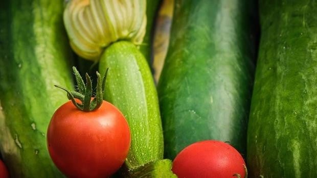 La demanda de hortícolas se mantiene activa con cotizaciones «muy favorables» para calabacín y pepino