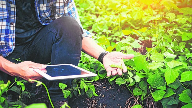 El futuro del campo germina con abono colaborativo