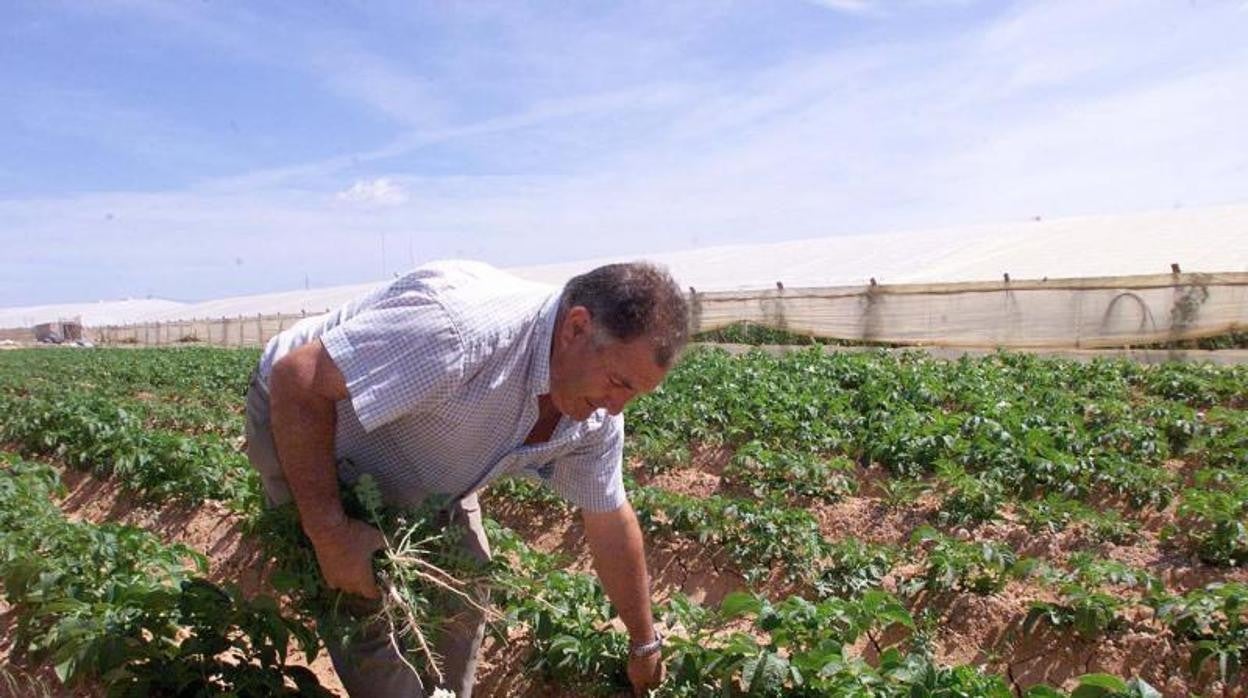 SEPE: ¿Cuántos años hay que tener cotizados para cobrar el subsidio para mayores de 52 años?