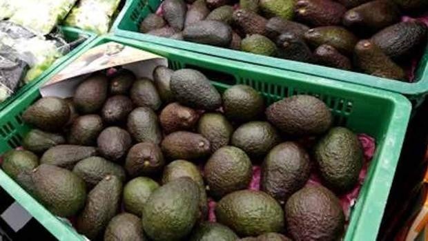 El aguacate de origen andaluz sigue reinando en Mercadona