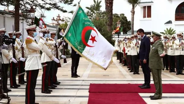 Empresarios atrapados por la crisis con Argelia: «Exportamos 1.000 terneros al mes, esperemos que el mercado lo asimile»