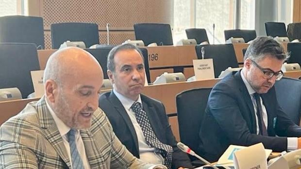 La Comisión estudia apoyar a los gestores administrativos para operar en toda la UE