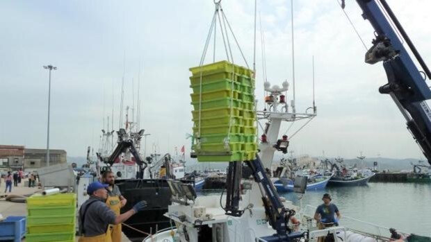Alivio en el sector pesquero: la OMC mantendrá la exención fiscal al fuel marino