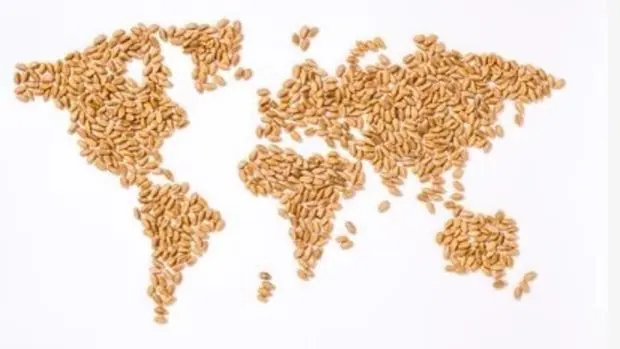 La crisis alimentaria desata una batalla por las despensas globales y los fertilizantes que son una bomba de relojería latente