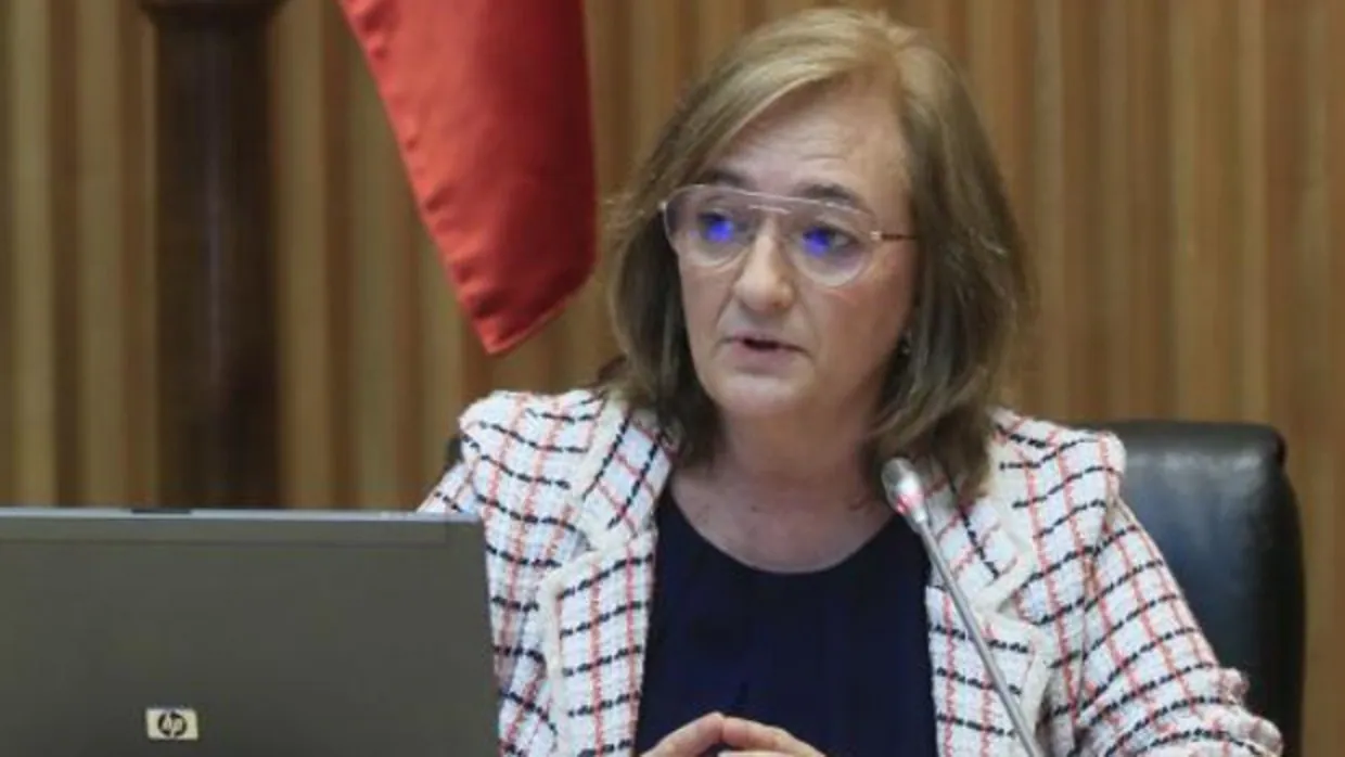 La presidenta de la Airef, Cristina Herrero, en la comisión parlamentaría