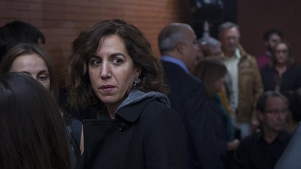 Dos exdiputados socialistas recogen firmas para que Irene Lozano ceda su escaño a Madina