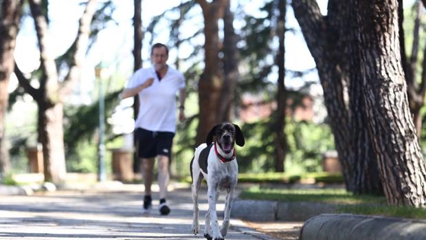 Los candidatos pasean y practican deporte durante la jornada de reflexión