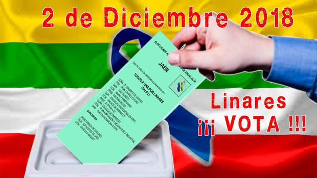 La principal plataforma de Linares imprime papeletas para que se vote a los incumplimientos de la Junta