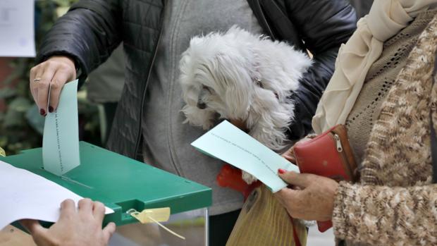 La encuesta que ABC publicará sobre las elecciones andaluzas rellenará el hueco de más de dos horas entre el cierre de las urnas y los primeros resultados oficiales