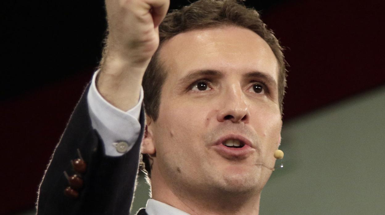 Pablo Casado, líder del PP